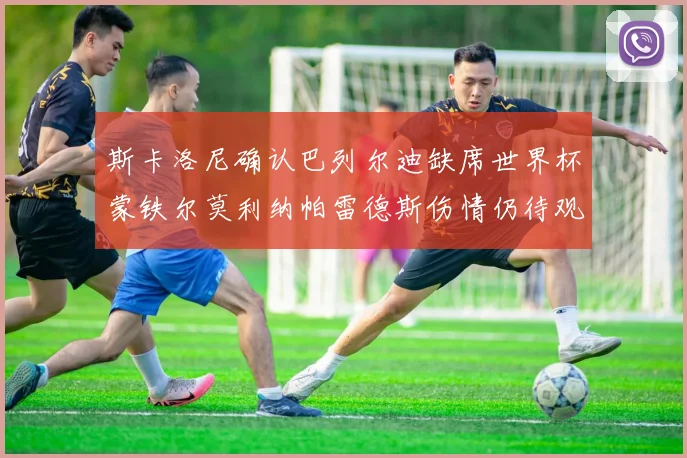 斯卡洛尼确认巴列尔迪缺席世界杯蒙铁尔莫利纳帕雷德斯伤情仍待观察